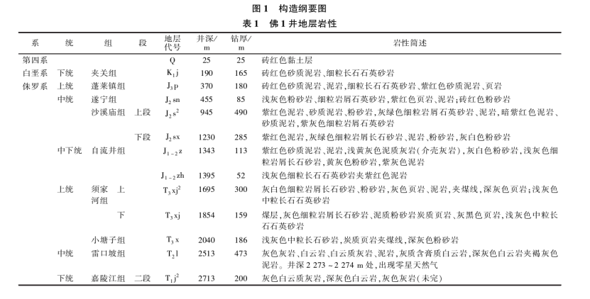 樂(lè)山大佛景區(qū)區(qū)域地?zé)豳Y源開發(fā)遠(yuǎn)景分析-地大熱能